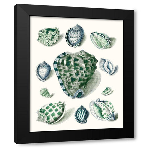 Celadon Shells III Black Modern Wood Framed Art Print by Vision Studio