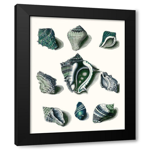 Celadon Shells IV Black Modern Wood Framed Art Print with Double Matting by Vision Studio