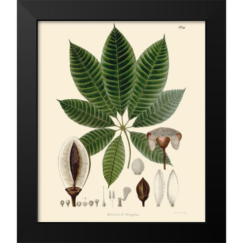 Luscious Leaves IV Black Modern Wood Framed Art Print by Unknown