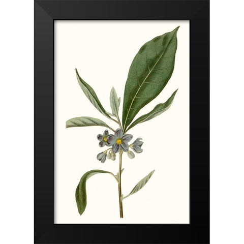 Soft Blue Botanicals II Black Modern Wood Framed Art Print by Curtis