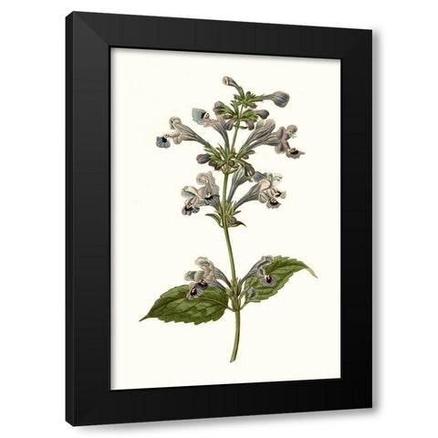 Soft Blue Botanicals III Black Modern Wood Framed Art Print by Curtis