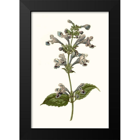 Soft Blue Botanicals III Black Modern Wood Framed Art Print by Curtis