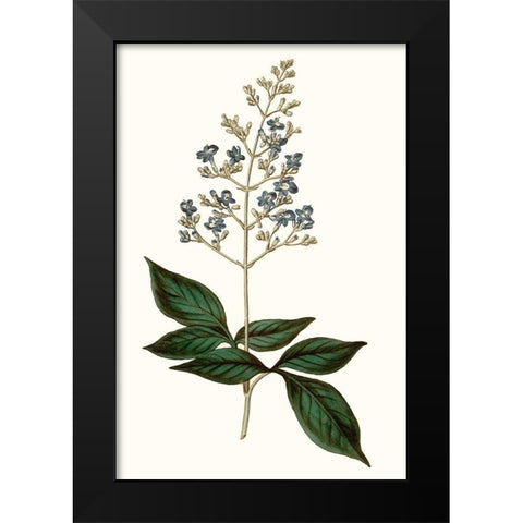 Soft Blue Botanicals IV Black Modern Wood Framed Art Print by Curtis