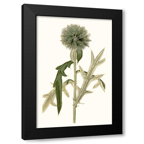 Soft Blue Botanicals VI Black Modern Wood Framed Art Print with Double Matting by Curtis