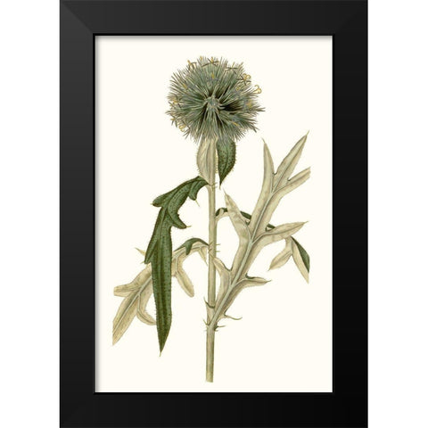 Soft Blue Botanicals VI Black Modern Wood Framed Art Print by Curtis