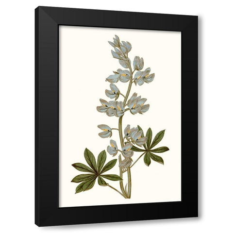 Soft Blue Botanicals VIII Black Modern Wood Framed Art Print with Double Matting by Curtis