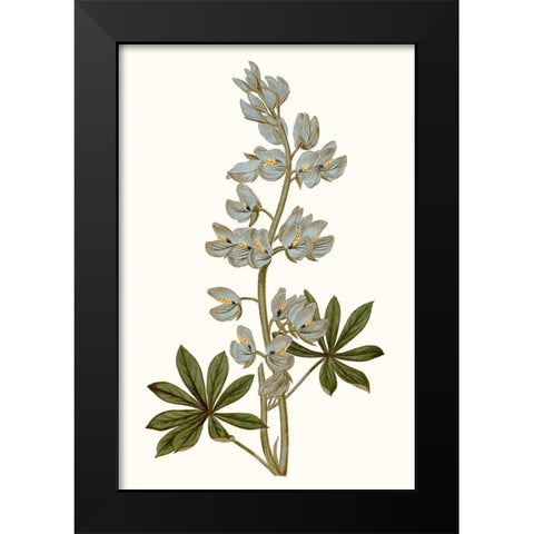 Soft Blue Botanicals VIII Black Modern Wood Framed Art Print by Curtis