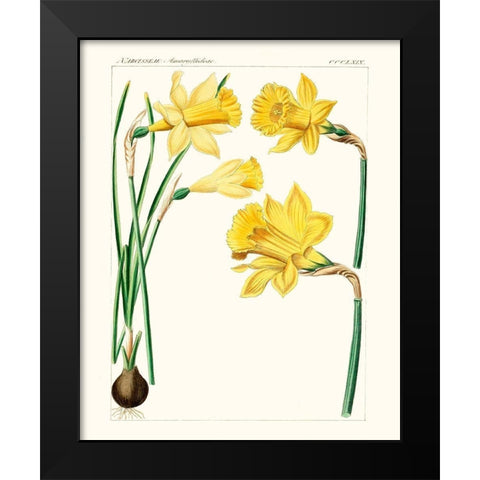Bright Botanicals I Black Modern Wood Framed Art Print by Unknown