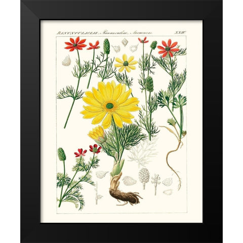 Bright Botanicals IV Black Modern Wood Framed Art Print by Unknown