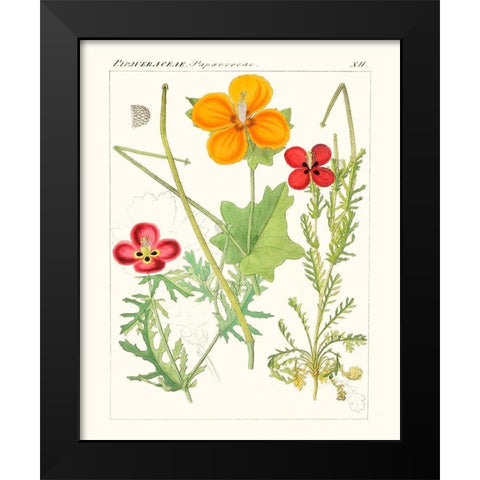 Bright Botanicals V Black Modern Wood Framed Art Print by Unknown