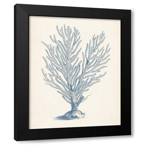 Antique Coral Collection II Black Modern Wood Framed Art Print with Double Matting by Vision Studio