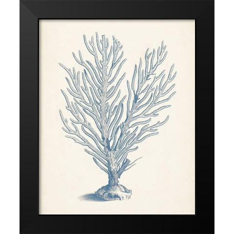 Antique Coral Collection II Black Modern Wood Framed Art Print by Vision Studio