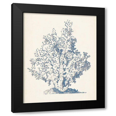 Antique Coral Collection IV Black Modern Wood Framed Art Print with Double Matting by Vision Studio