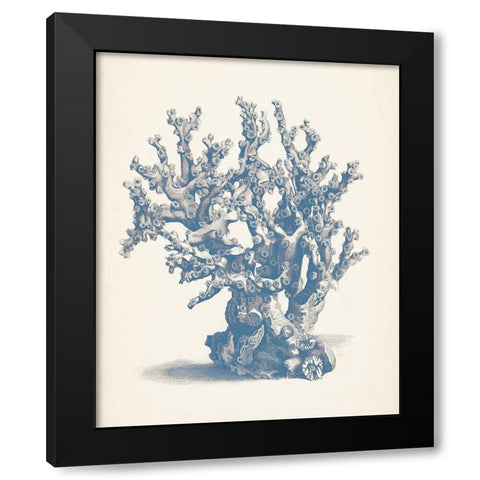 Antique Coral Collection V Black Modern Wood Framed Art Print with Double Matting by Vision Studio