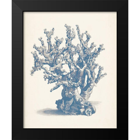 Antique Coral Collection V Black Modern Wood Framed Art Print by Vision Studio