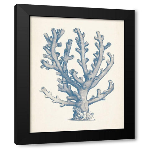 Antique Coral Collection VI Black Modern Wood Framed Art Print with Double Matting by Vision Studio