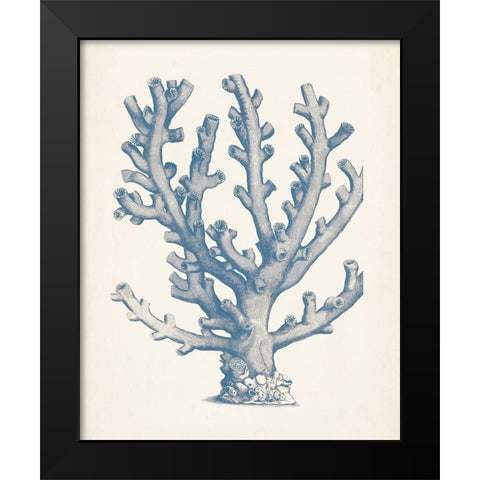 Antique Coral Collection VI Black Modern Wood Framed Art Print by Vision Studio