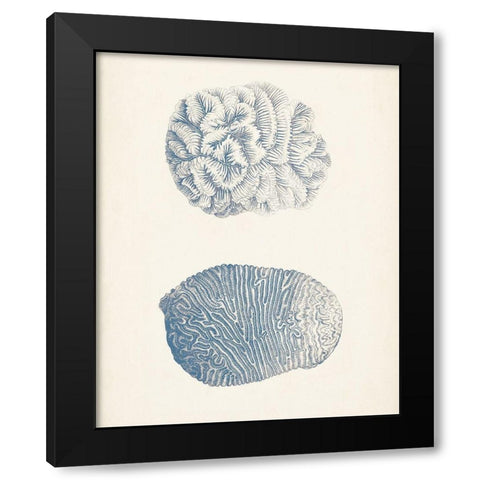 Antique Coral Collection VII Black Modern Wood Framed Art Print by Vision Studio