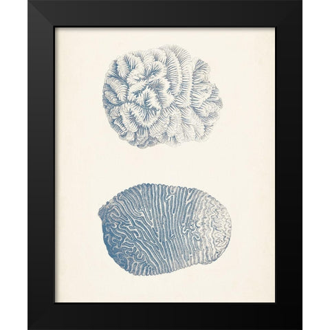 Antique Coral Collection VII Black Modern Wood Framed Art Print by Vision Studio