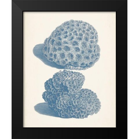 Antique Coral Collection VIII Black Modern Wood Framed Art Print by Vision Studio