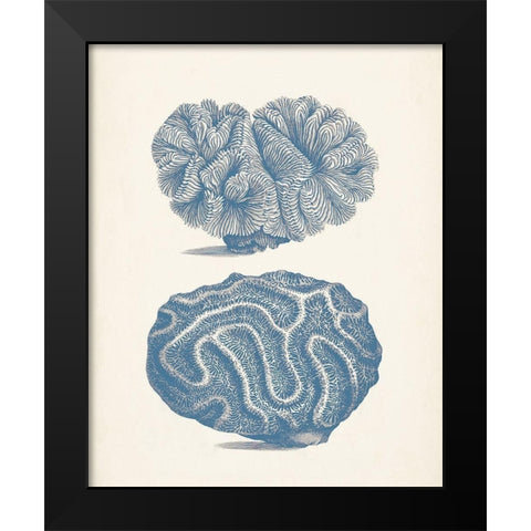 Antique Coral Collection IX Black Modern Wood Framed Art Print by Vision Studio