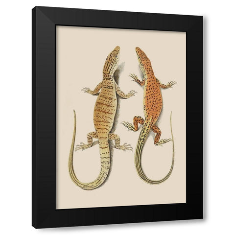 Antique Lizards I Black Modern Wood Framed Art Print by Unknown
