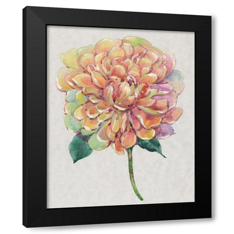 Multicolor Floral I Black Modern Wood Framed Art Print by OToole, Tim