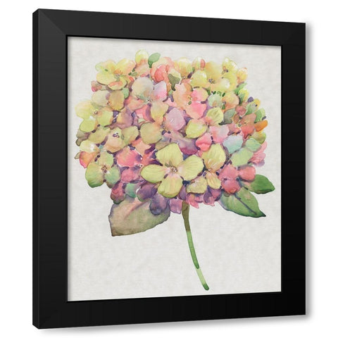 Multicolor Floral II Black Modern Wood Framed Art Print with Double Matting by OToole, Tim