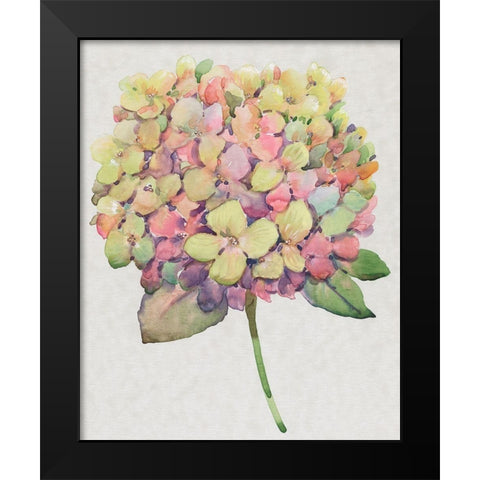 Multicolor Floral II Black Modern Wood Framed Art Print by OToole, Tim