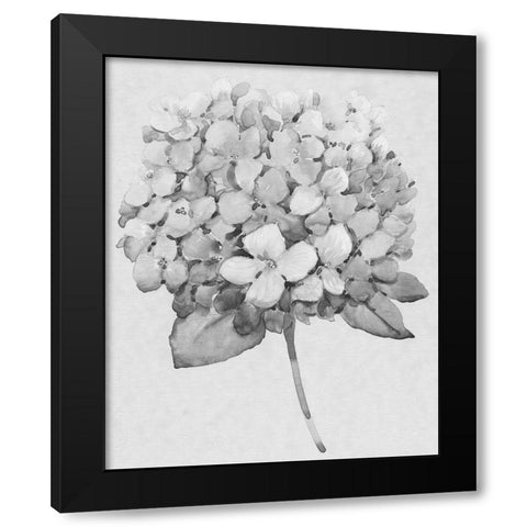 Silvertone Floral II Black Modern Wood Framed Art Print by OToole, Tim