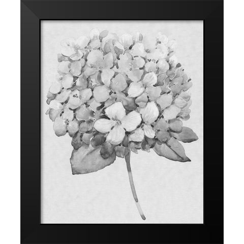 Silvertone Floral II Black Modern Wood Framed Art Print by OToole, Tim