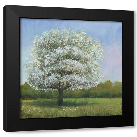 Spring Blossom Tree I Black Modern Wood Framed Art Print with Double Matting by OToole, Tim