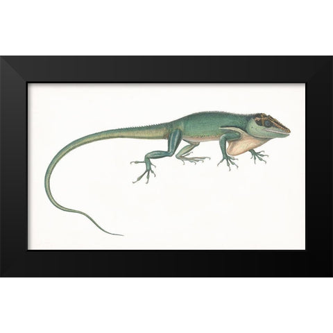 Antique Chameleon Black Modern Wood Framed Art Print by Unknown