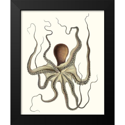 Antique Octopus Collection I Black Modern Wood Framed Art Print by Unknown