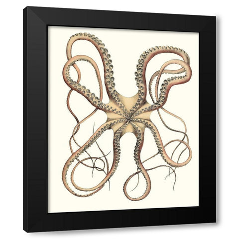 Antique Octopus Collection IV Black Modern Wood Framed Art Print by Unknown
