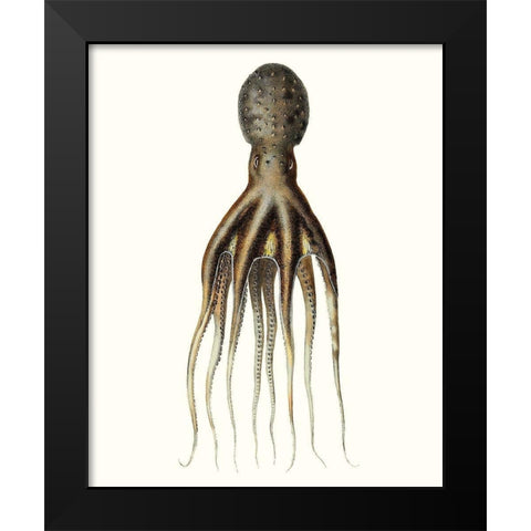 Antique Octopus Collection V Black Modern Wood Framed Art Print by Unknown