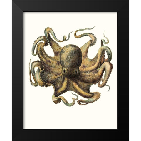 Antique Octopus Collection VII Black Modern Wood Framed Art Print by Unknown