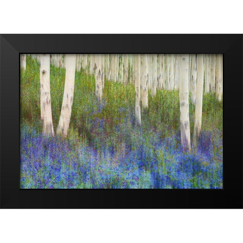 Aspen Forest Floor Black Modern Wood Framed Art Print by Vest, Chris