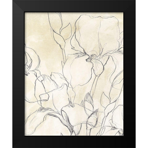 Iris Garden Sketch II Black Modern Wood Framed Art Print by Vess, June Erica