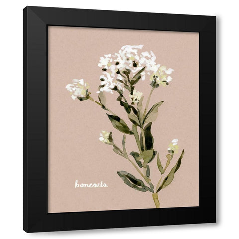 White Bonesets II Black Modern Wood Framed Art Print with Double Matting by Caroline, Emma