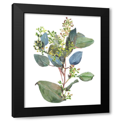 Seeded Eucalyptus I Black Modern Wood Framed Art Print with Double Matting by Wang, Melissa