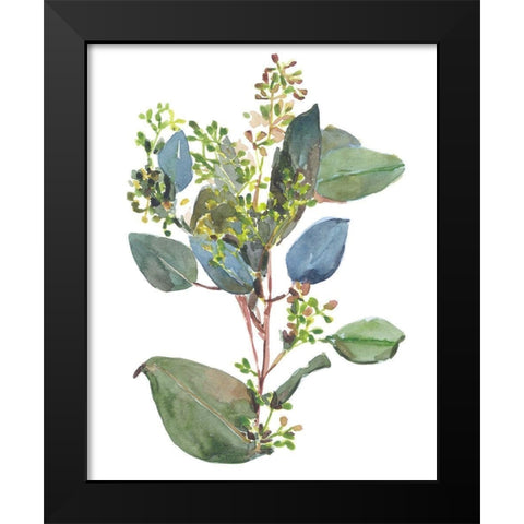 Seeded Eucalyptus I Black Modern Wood Framed Art Print by Wang, Melissa