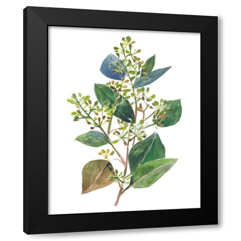 Seeded Eucalyptus II Black Modern Wood Framed Art Print with Double Matting by Wang, Melissa