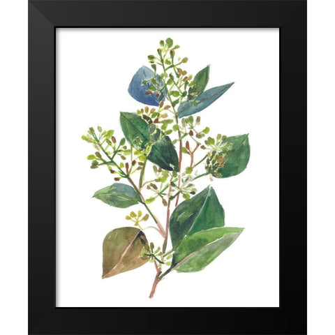 Seeded Eucalyptus II Black Modern Wood Framed Art Print by Wang, Melissa