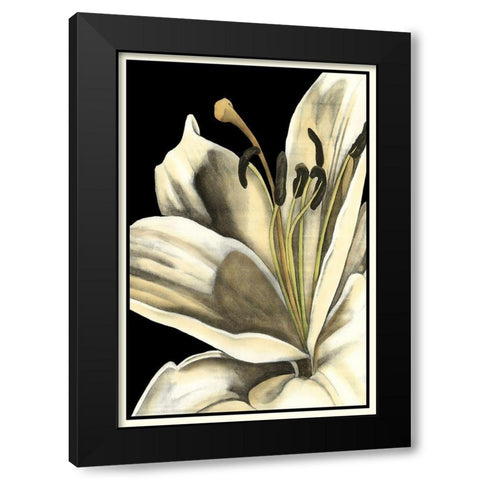 Graphic Lily III Black Modern Wood Framed Art Print with Double Matting by Goldberger, Jennifer