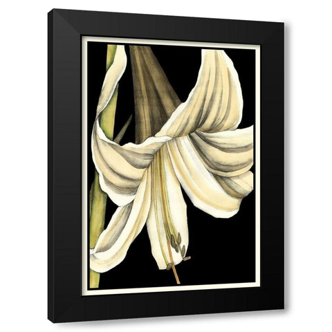 Graphic Lily IV Black Modern Wood Framed Art Print with Double Matting by Goldberger, Jennifer