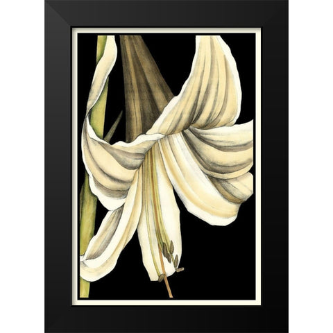 Graphic Lily IV Black Modern Wood Framed Art Print by Goldberger, Jennifer