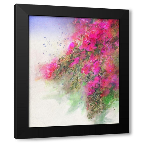 Cascade of Roses II Black Modern Wood Framed Art Print with Double Matting by Vest, Chris