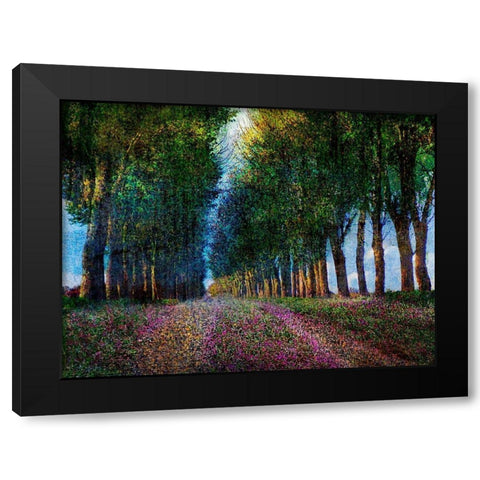 Row of Trees Provence Black Modern Wood Framed Art Print with Double Matting by Vest, Chris
