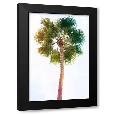 Palmetto I Black Modern Wood Framed Art Print by Hartson-Weddle, Ryan